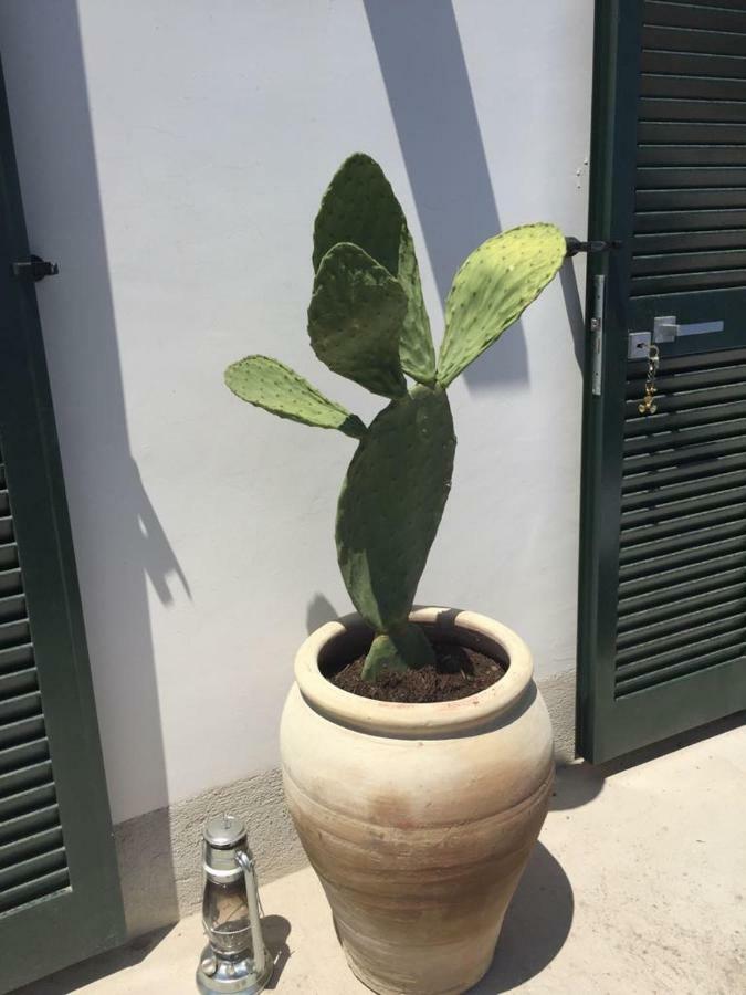 Casa Bianca Amore Amalfi Eksteriør bilde